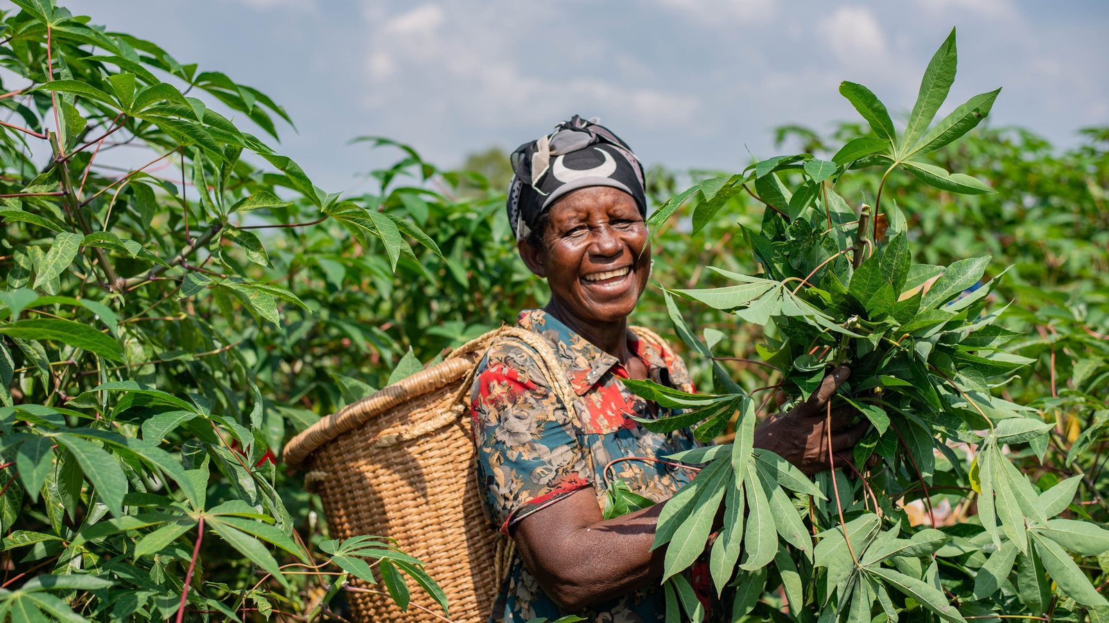 A woman smallholder farmer at work in her field